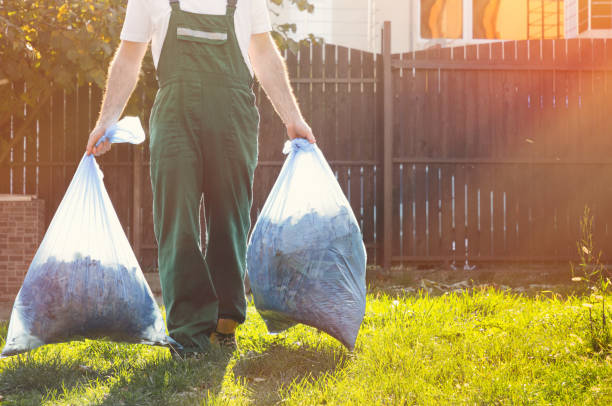 Demolition Debris Removal in Waverly, MI