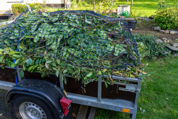 Best Same-Day Junk Removal Services  in Waverly, MI